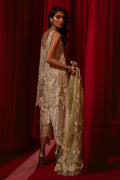 Sana Safinaz | Nura Festive 24 | N241-003-3CT - Formal -  Libasekhas