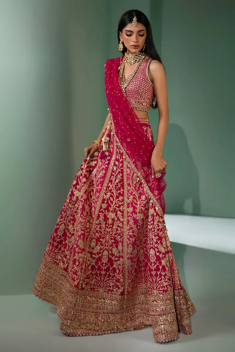 Sana Safinaz | Nura Festive 2023 | N233-004-CT - Libasekhas