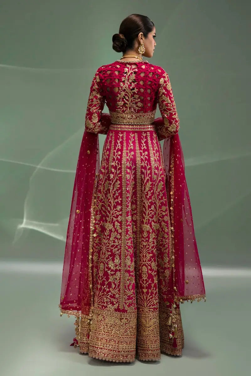 Sana Safinaz | Nura Festive 2023 | N233-004-CT - Libasekhas