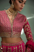 Sana Safinaz | Nura Festive 2023 | N233-004-CT - Libasekhas
