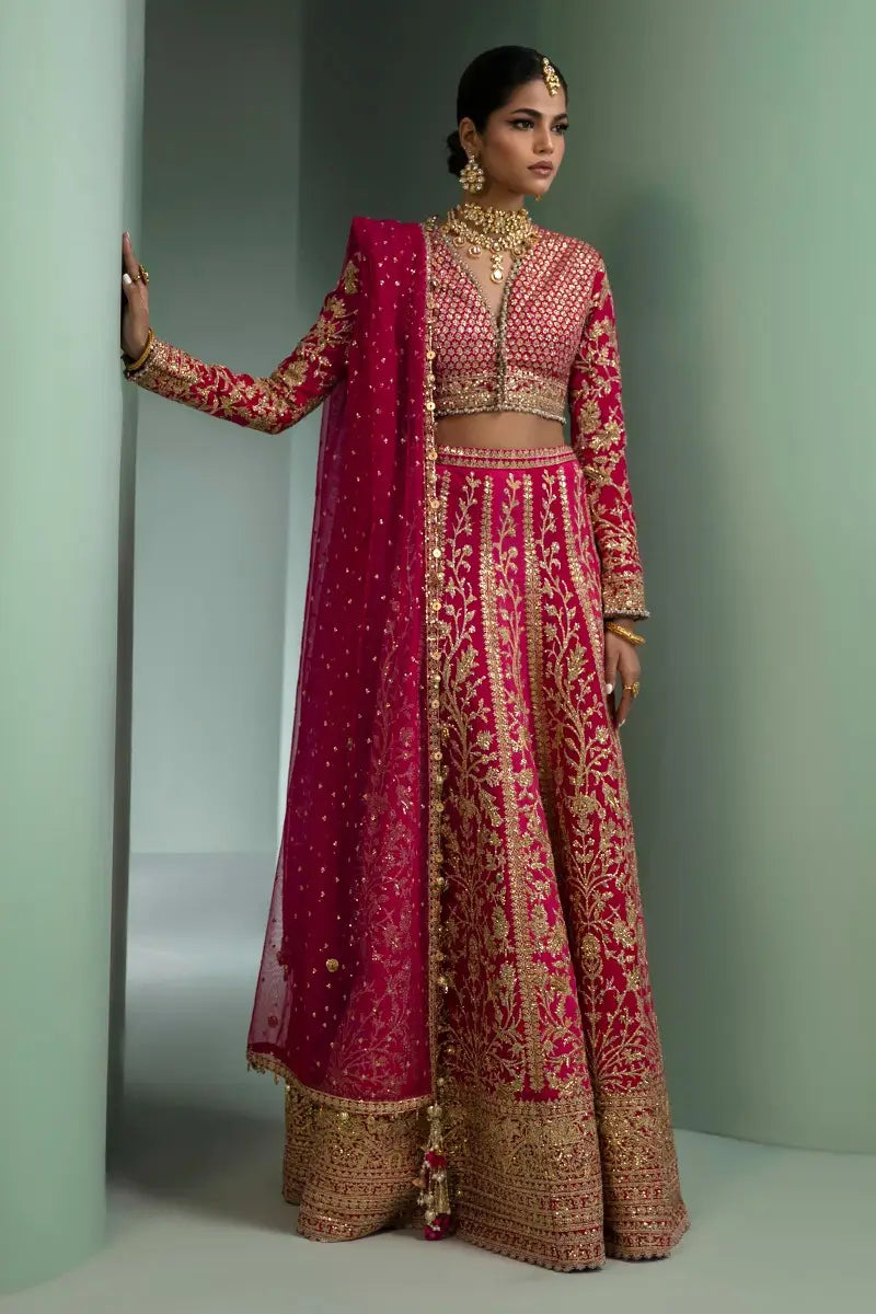 Sana Safinaz | Nura Festive 2023 | N233-004-CT - Libasekhas