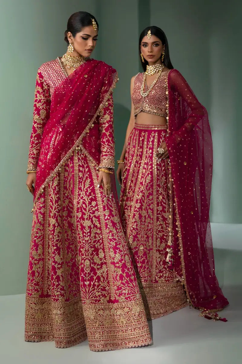 Sana Safinaz | Nura Festive 2023 | N233-004-CT - Libasekhas