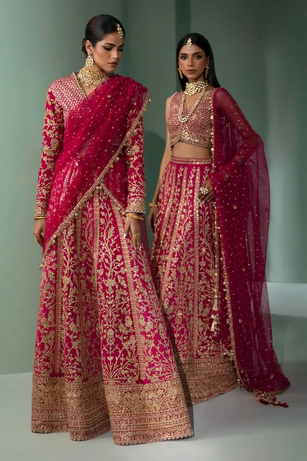 Sana Safinaz | Nura Festive 2023 | N233-004-CT - by - Libasekhas UK - Registered Vendor of : Sana Safinaz - 100% Original Designer Dresss