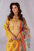 Imrozia Premium | Noor 25 | SP-69 ANEEQA - by - Libasekhas UK - Registered Vendor of : Imrozia Premium - 100% Original Designer Dresss