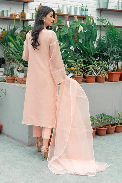 Jeem | Luxury Pret | STRIKING PEACH - by - Libasekhas UK - Registered Vendor of : Jeem - 100% Original Designer Dresss