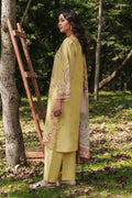 Afsanah | Silent in the Pine Tale | AL-106 - by Libasekhas UK - Registered Vendor of : Afsanah - 100% Original Designer Dress
