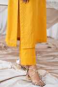 Vintage | Eid Edit 24 | Mehroz - by - Libasekhas UK - Registered Vendor of : Vintage - 100% Original Designer Dresss