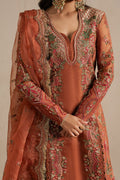 Ayzel | Qurbat Silk Festive 26 | Sahaara - by Libasekhas UK - Registered Vendor of : Ayzel - 100% Original Designer Dress