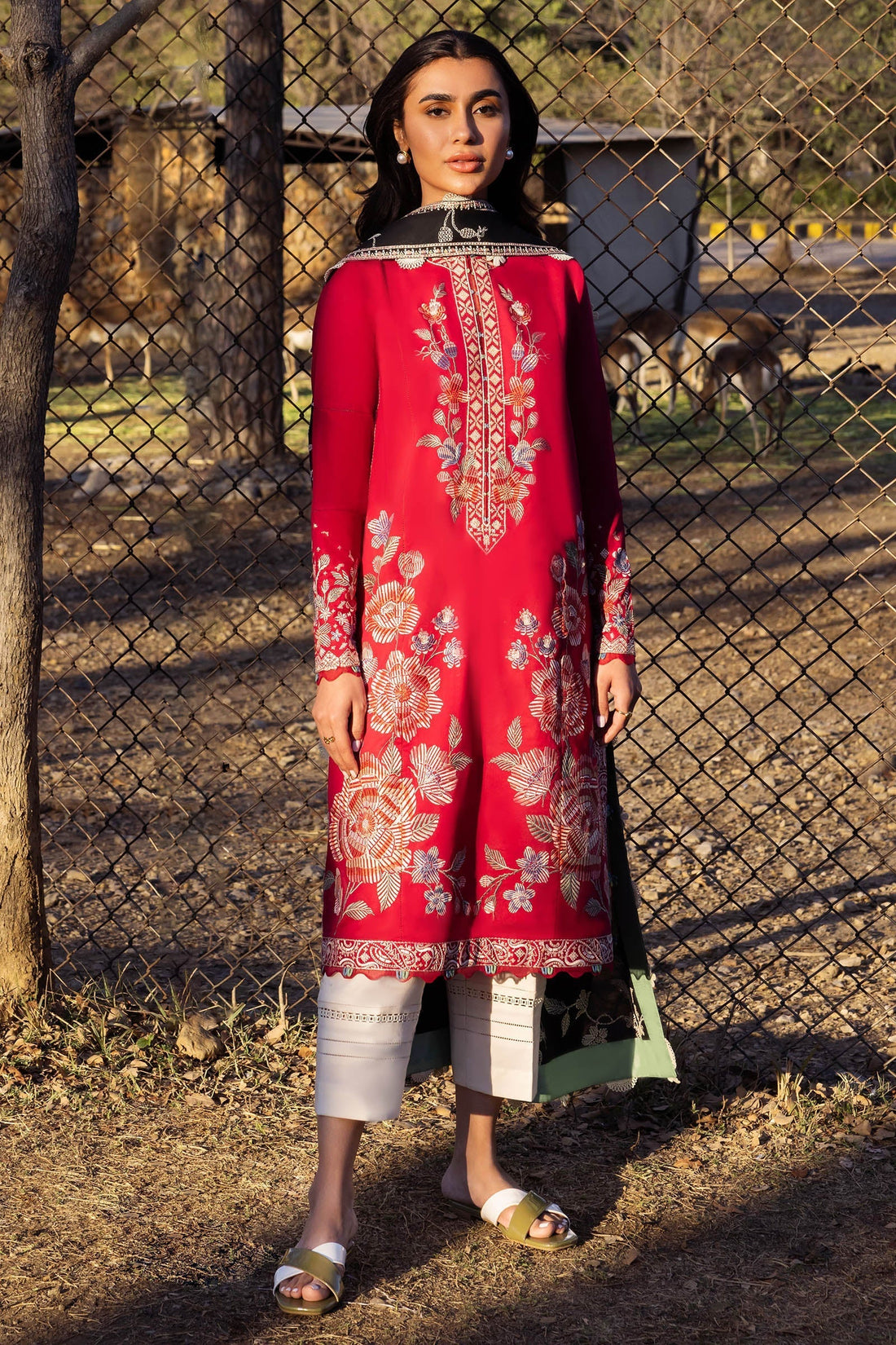 Zaha | Lawn 24 | GIZEM (ZL24-14 A) - by - Libasekhas UK - Registered Vendor of : Zaha - 100% Original Designer Dresss